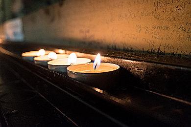 PS发布会：超现实迷幻主义游戏《Ultros》公开